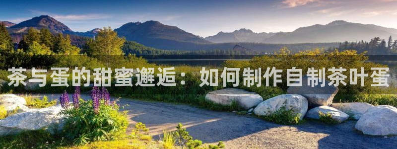 菲律宾鸿运彩票平台