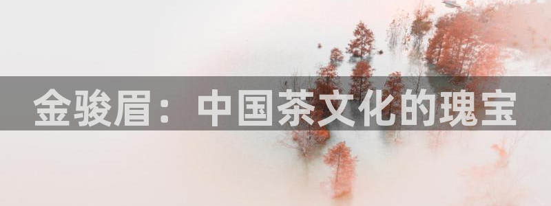 鸿运集团直播卖货平台