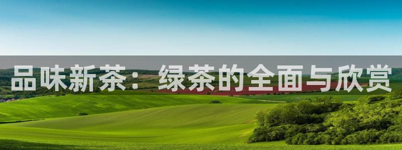 鸿运平台是骗子平台吗