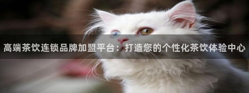 鸿运棋牌黑平台