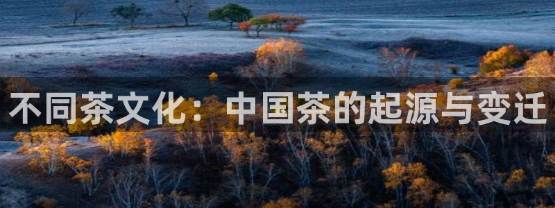 盛世鸿运是什么平台