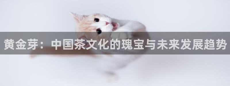 鸿运彩票平台代理