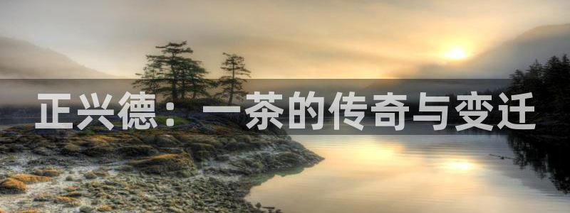 鸿运福星缴费平台