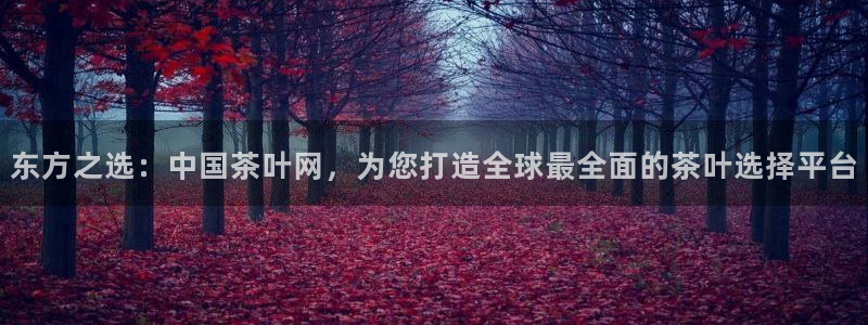 鸿运国际平台平台怎么样