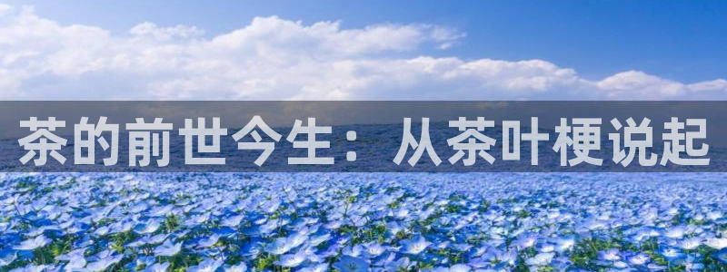 鸿运直播平台ios下载