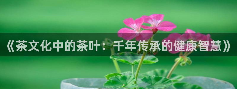 鸿运最新平台叫什么