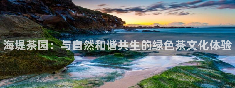 琥珀鸿运平台多久了