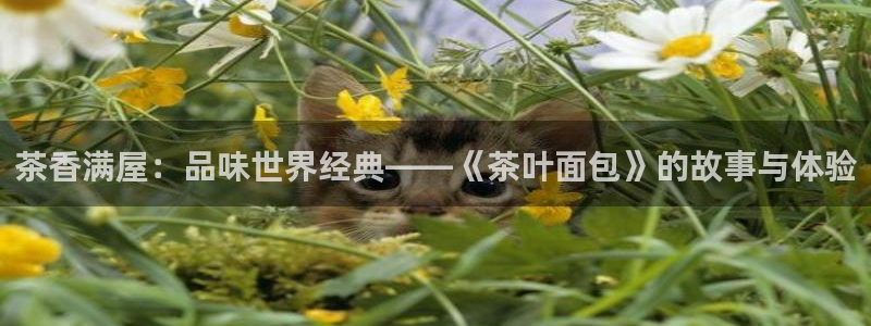 鸿运游戏下载平台