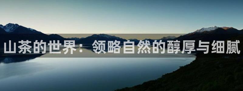 鸿运注册平台官网