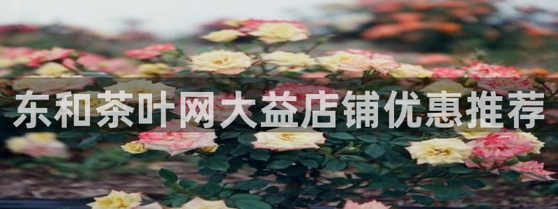 鸿运宝理财平台