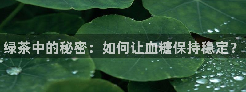 鸿运集团平台招聘