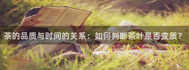 香港鸿运微投资平台