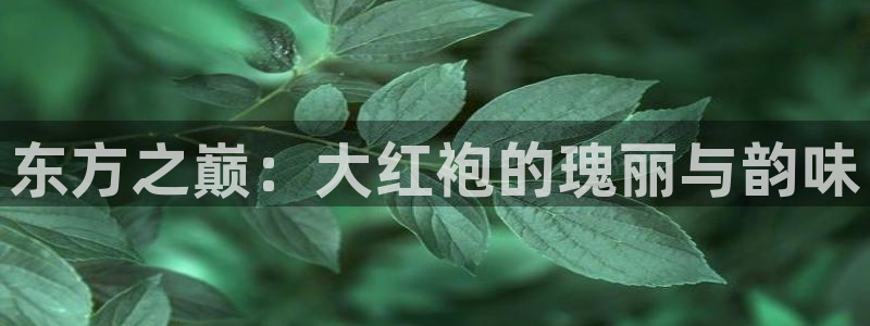 鸿运食品直播平台