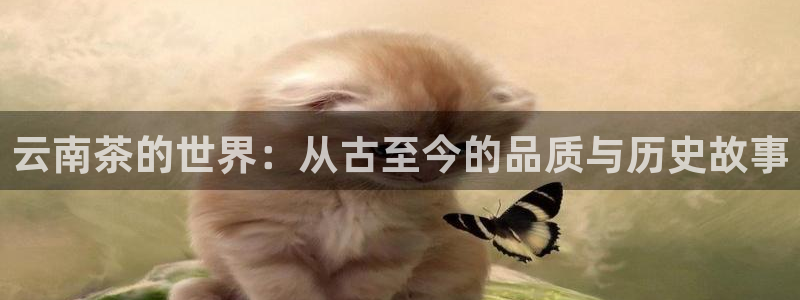 鸿运牛牛投注平台开户