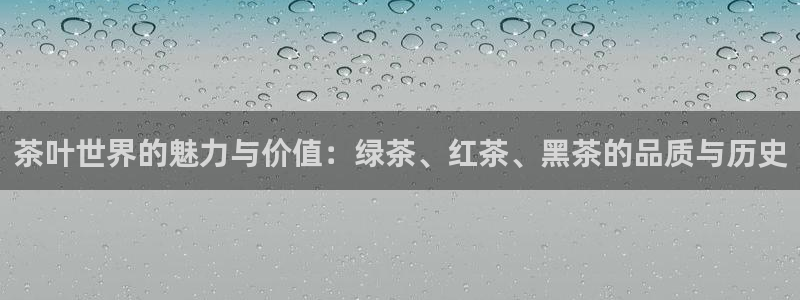 鸿运升降机械平台
