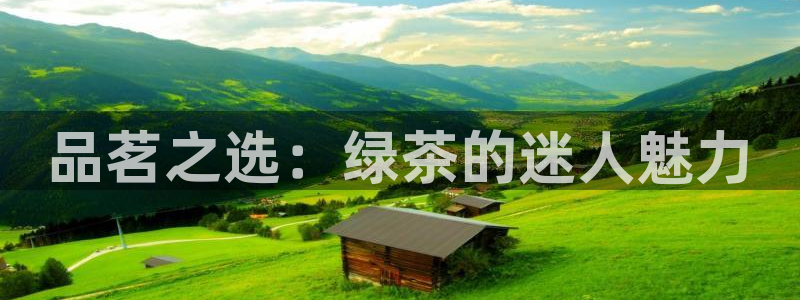 鸿运到游戏直播平台