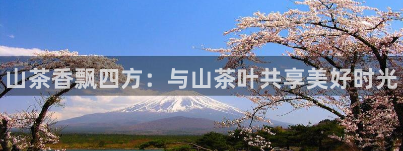 鸿运集团平台招聘要求