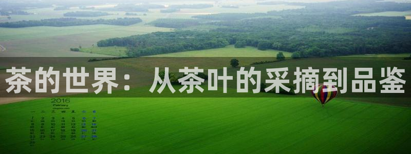 鸿运国际平台台