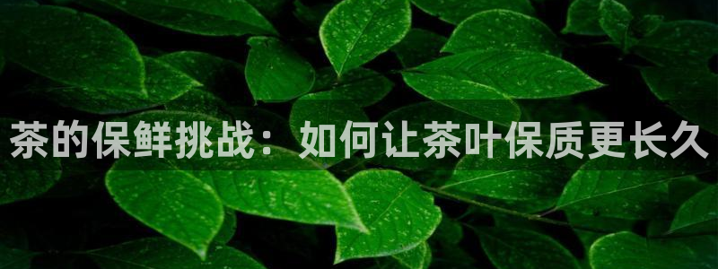 琥珀鸿运是个国际平台吗