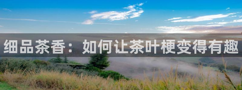 鸿运棋牌黑平台