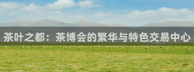 鸿运军团平台被骗