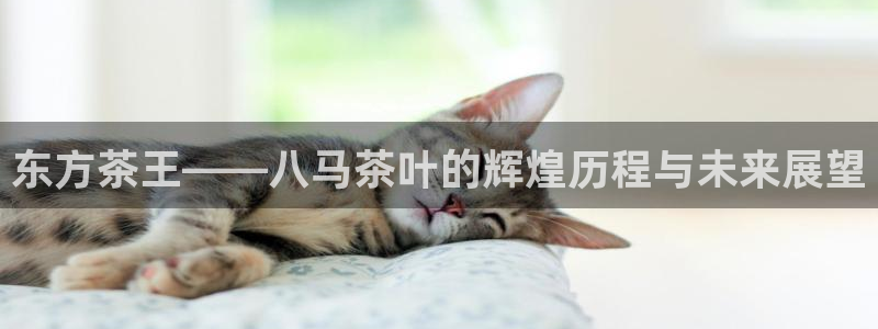 鸿运棋牌游戏平台