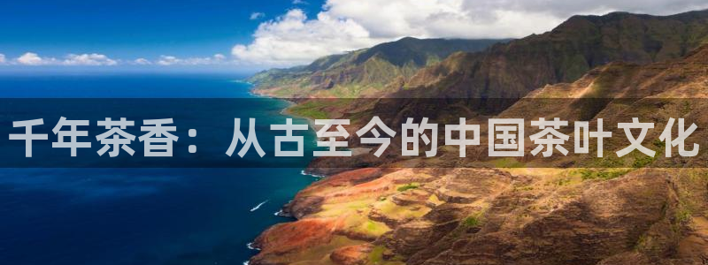 鸿运首选投资平台