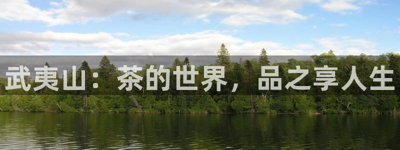 鸿运购彩平台app