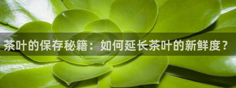 鸿运当头直播平台