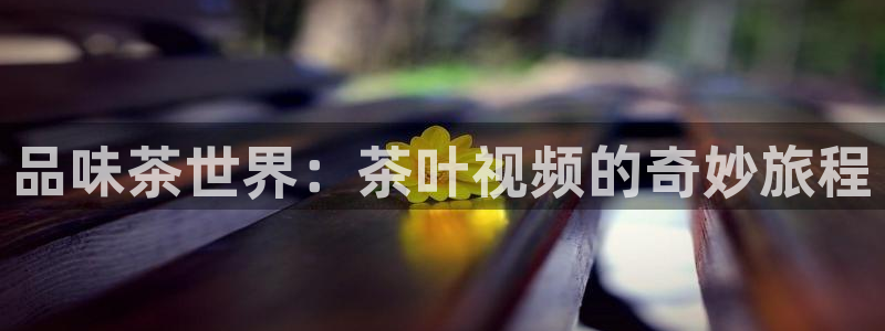 鸿运当头平台好吗