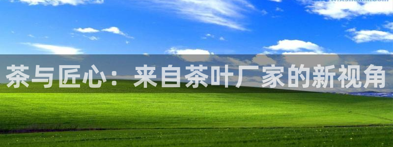 鸿运游戏直播平台