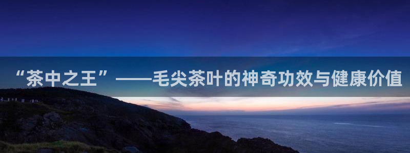 鸿运平台投资诈骗事件