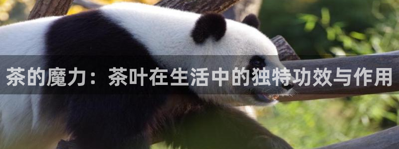 鸿运自助卡密平台