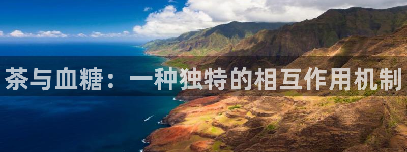 鸿运服务平台是什么