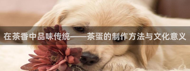 鸿运直播平台下载