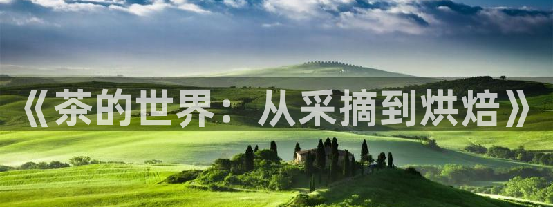 鸿运团队赚钱平台