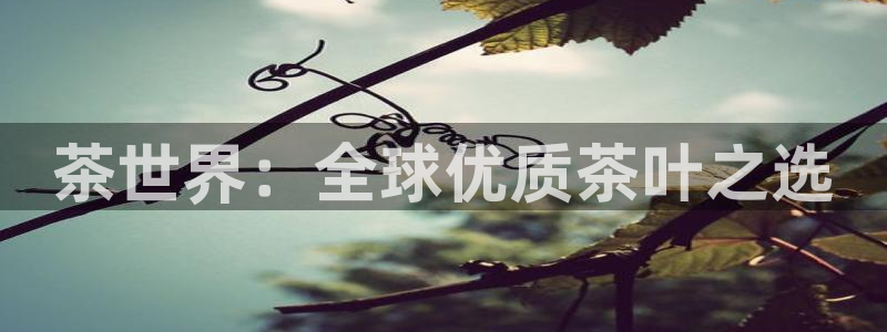 鸿运平台诈骗电话