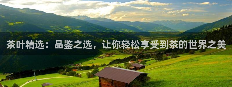 鸿运彩票平台可靠吗