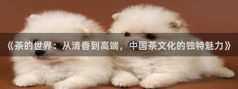 鸿运平台骗局揭秘