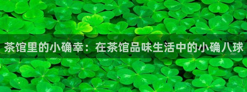 鸿运游戏棋牌平台