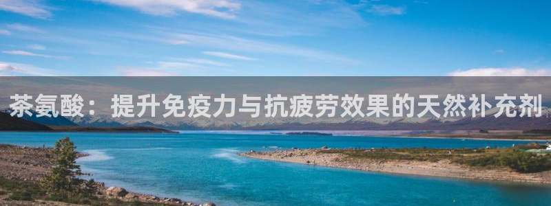 国际鸿运官方平台