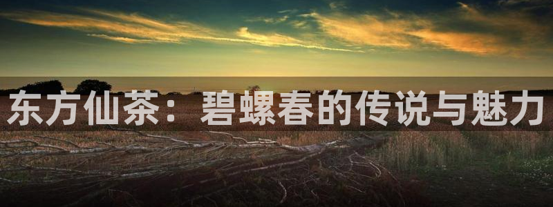 鸿运公司滴滴平台