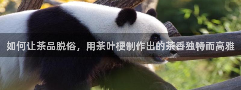 鸿运平台正规吗