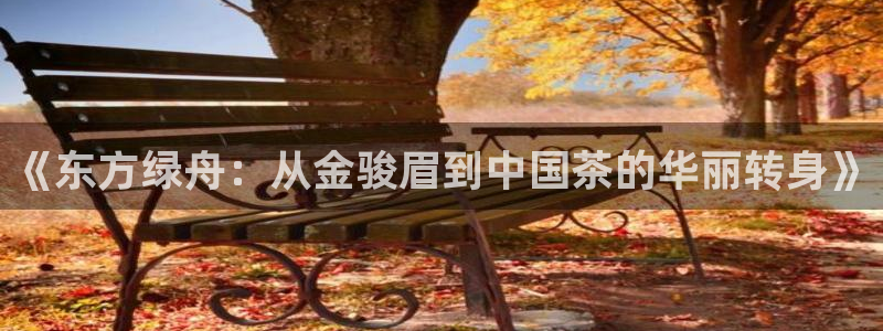 鸿运自助卡密平台