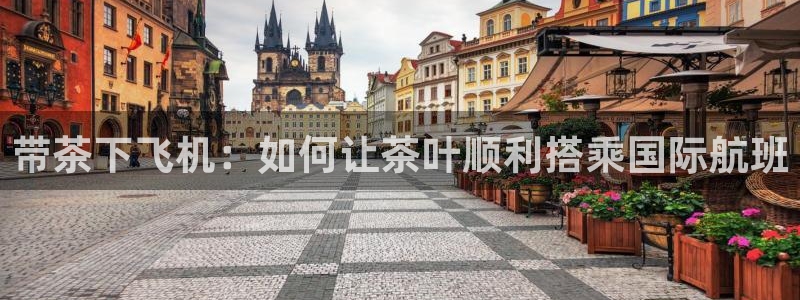 鸿运国际平台代理