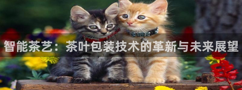 琥珀鸿运彩票平台靠谱吗