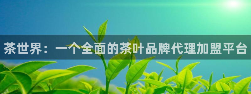 会员鸿运国际平台