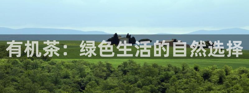 鸿运国际娱乐平台