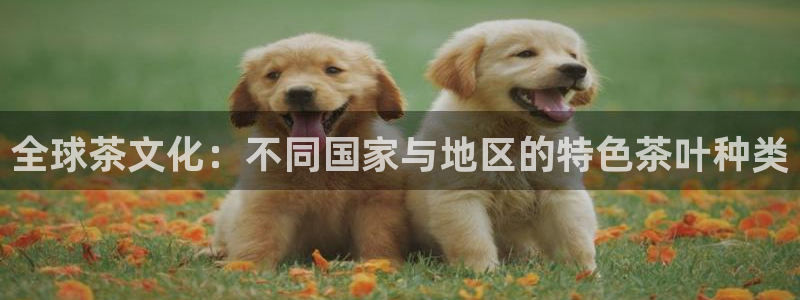 鸿运团队赚钱平台