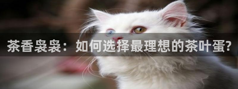 鸿运升降机械平台